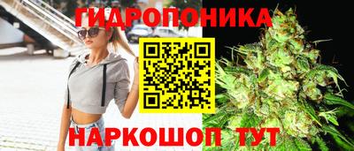 соль ск Ставрополь