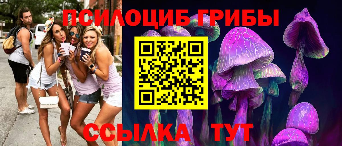 Псилоцибиновые грибы мухоморы Мытищи